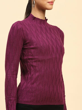 Wine Solid Poly Viscose Slim Fit High Neck Skivvy Pullover