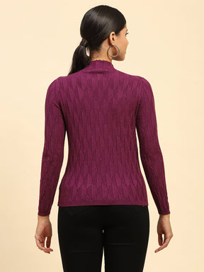 Wine Solid Poly Viscose Slim Fit High Neck Skivvy Pullover