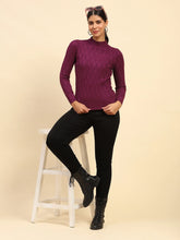 Wine Solid Poly Viscose Slim Fit High Neck Skivvy Pullover