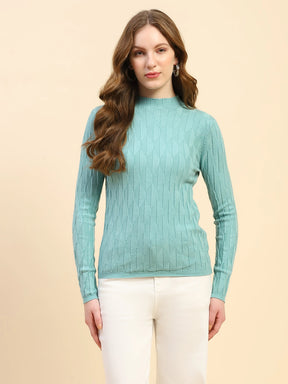 Sage Green Solid Poly Viscose Slim Fit Skivvy Pullover