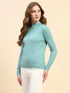 Sage Green Solid Poly Viscose Slim Fit Skivvy Pullover