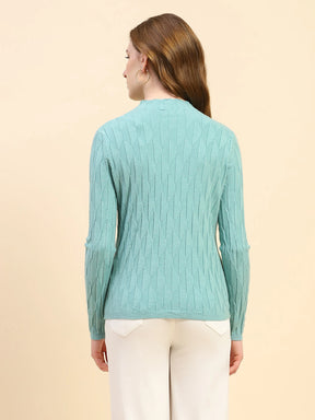 Sage Green Solid Poly Viscose Slim Fit Skivvy Pullover