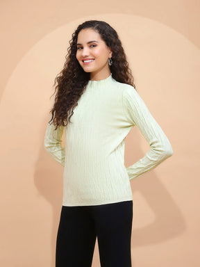 Women Solid Poly Viscose Slim Fit High Neck Skivvy Pullover