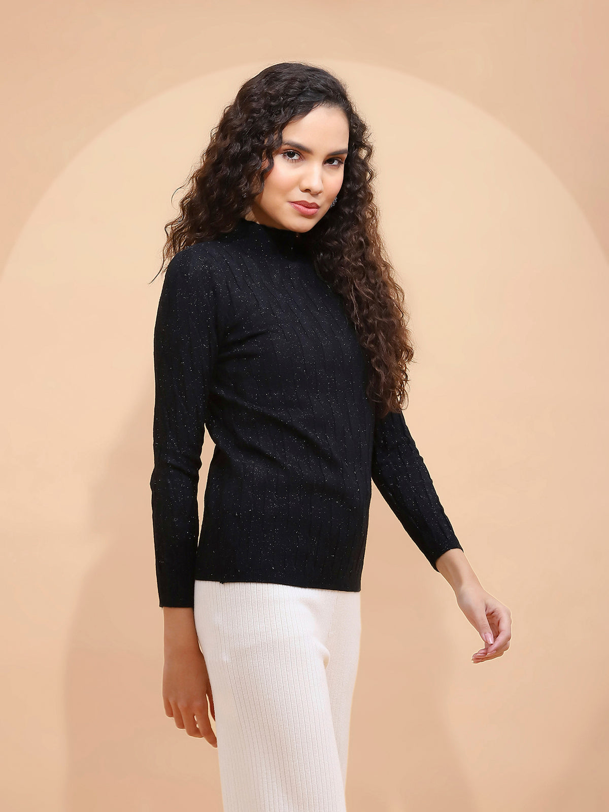 Women Solid Poly Viscose Slim Fit High Neck Skivvy Pullover