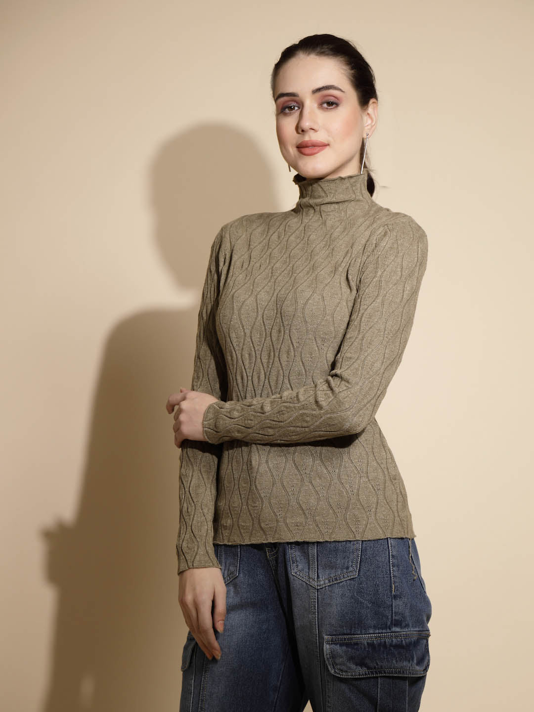 Brown Solid Full Sleeve Turtle Neck Knitted Casual Skivvy